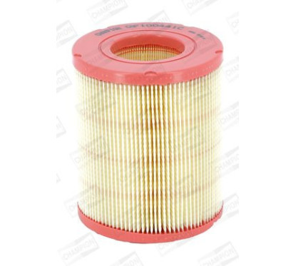 CHAMCAF100441C