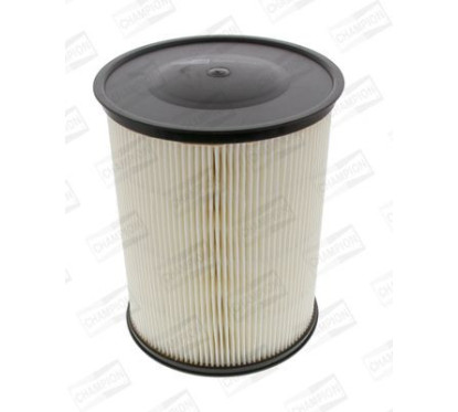 CHAMCAF100493C