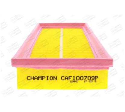 CHAMCAF100709P