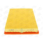 Champion Filtro Aria Caf100718P
