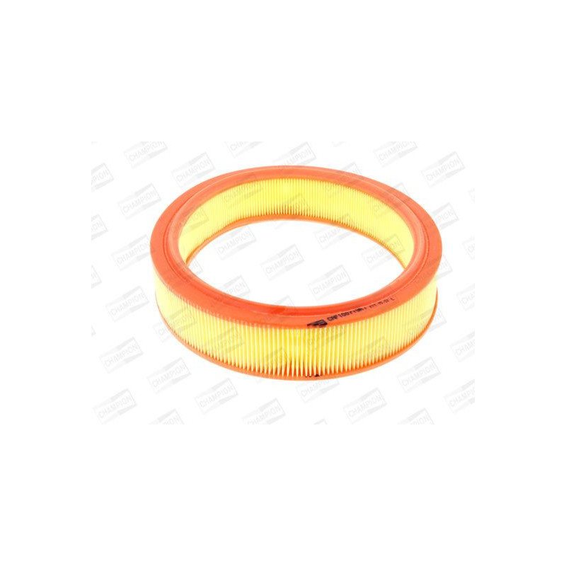 Champion Filtro Aria Caf100719R Champion Filtro Aria Caf100719R
