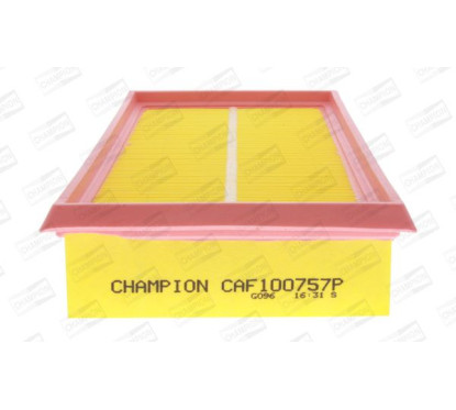 CHAMCAF100757P