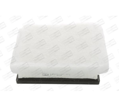 CHAMCAF100794P