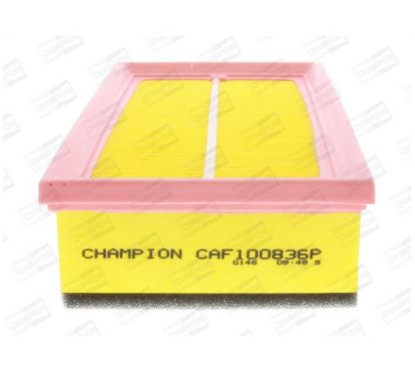 CHAMCAF100836P