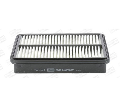 CHAMCAF100843P