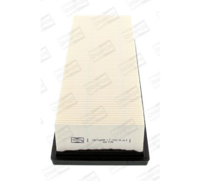 CHAMCAF100859P