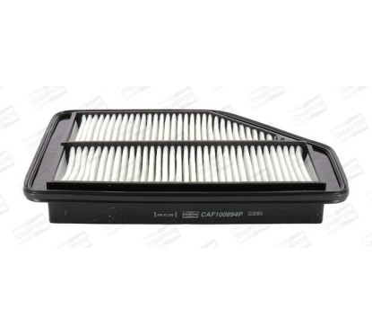 CHAMCAF100894P