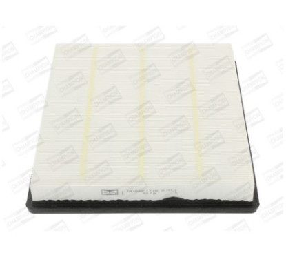CHAMCAF100954P