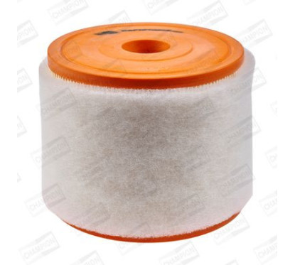 CHAMCAF101081R