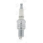 Candela Champion Rn7Yc Copper Plus Oe. Appl. Oe018/T10