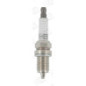 Champion Rc10Dmc Multi Ground Electrode Scatola Da 10 Cande Oe019/T10