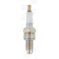 Champion Rn10Vtyc4 Multi Ground Electrode Scatola Da 10 Can Oe027/T10