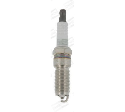 CHAMOE031/T10