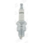 Champion Rl82Yc Copper Plus Candele Oe. Appl Oe064/T10