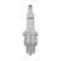 Candela di accensione CHAMPION Powersport RL78C T10