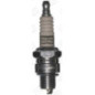 Candela di accensione CHAMPION Powersport RL78C T10