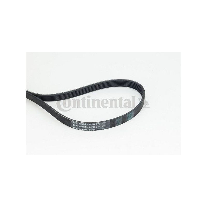 Contitech Cinghia Poly-V 6Pk976
