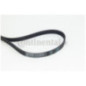 Contitech Cinghia Poly-V 6Pk976