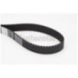 Contitech Cinghia Dentata Ct 1041 Land Freelander 2.0 Ct1041