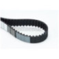 Contitech Cinghia Dentata Ct 1042 Land Freelander 2.0 Ct1042