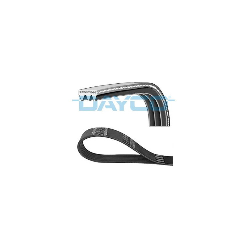 Dayco Cinghia Trapezoidale Pv 3Pk835