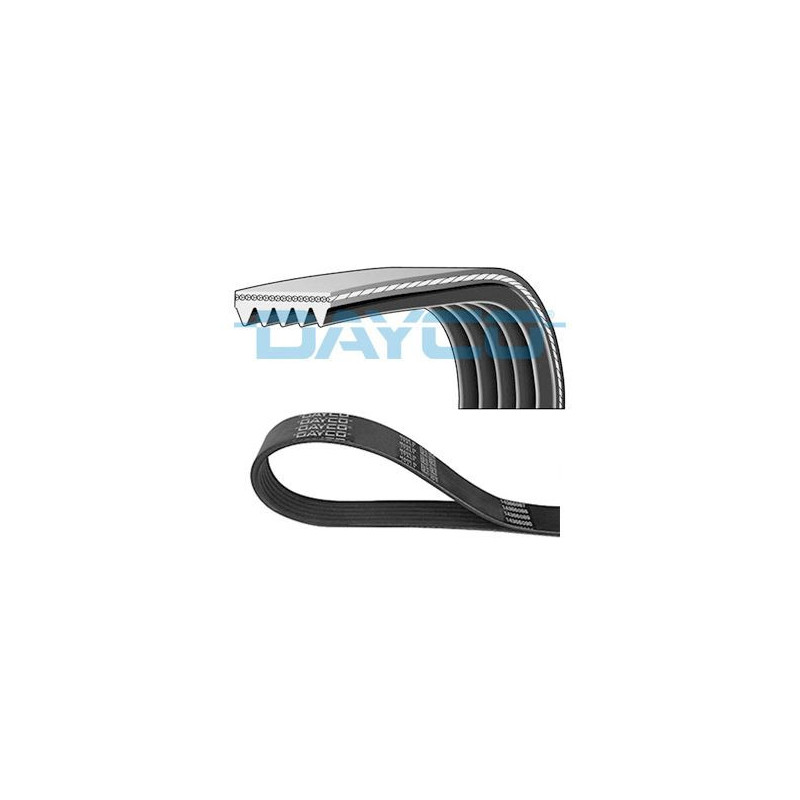 Dayco Cinghia Trapezoidale Pv 5Pk935
