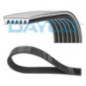 Dayco Cinghia Trapezoidale Pv 6Pk2170