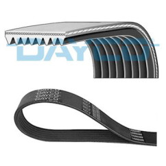 DAYC8PK1226