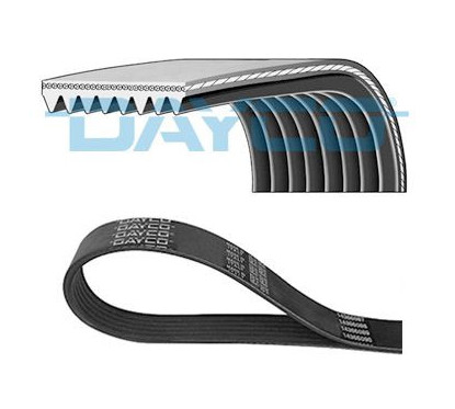 DAYC8PK1226