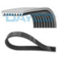 Dayco Linea : Dayco Codice 8Pk2512 8Pk2512