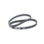 DAYCO Cinghia dentata 94451