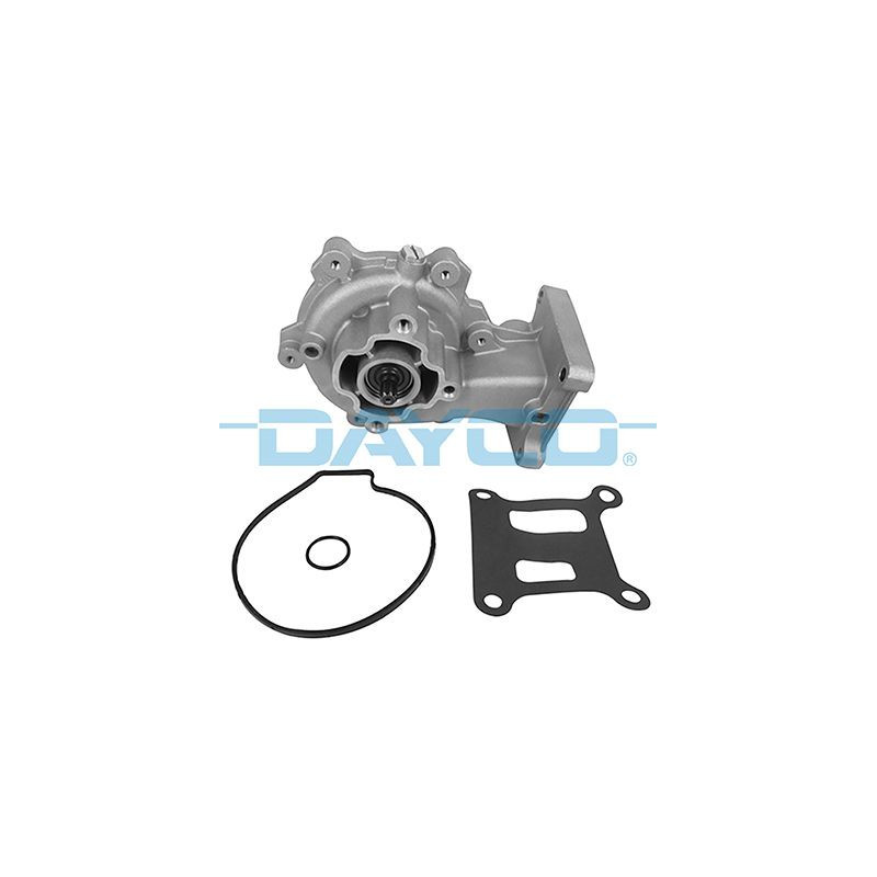 DAYCO Pompa acqua DP289