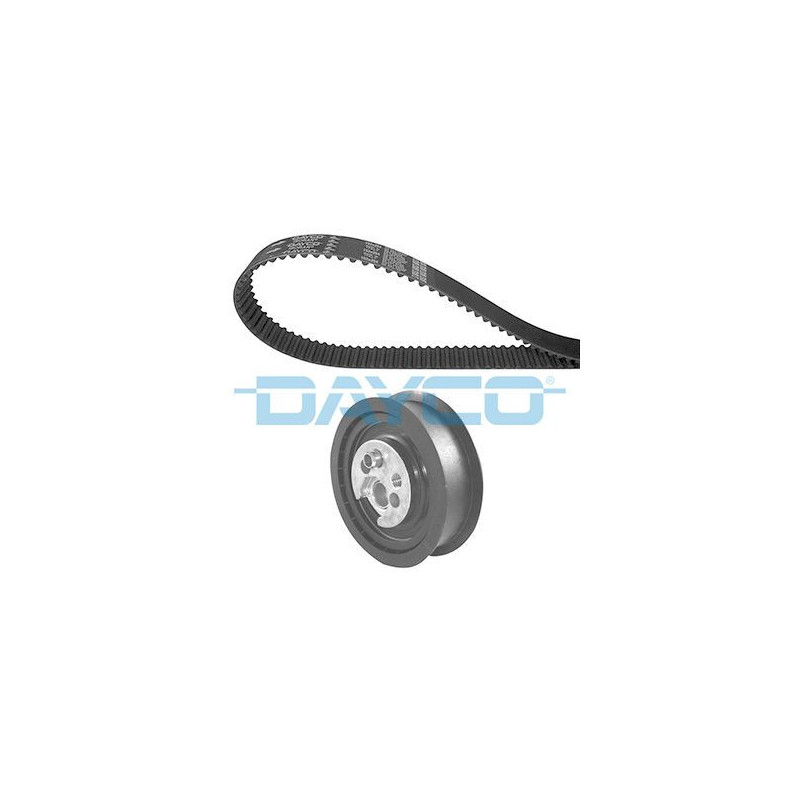 Dayco Kit Di Distribuzione Ktb155
