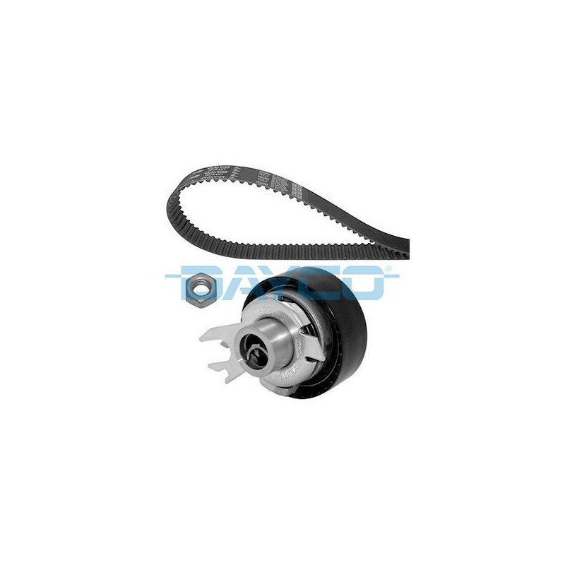 Dayco Kit Di Distribuzione Ktb256