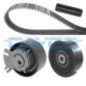 Dayco Kit Di Distribuzione Ktb309