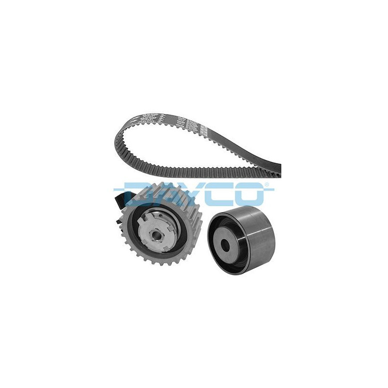 Dayco Kit Di Distribuzione Ktb318