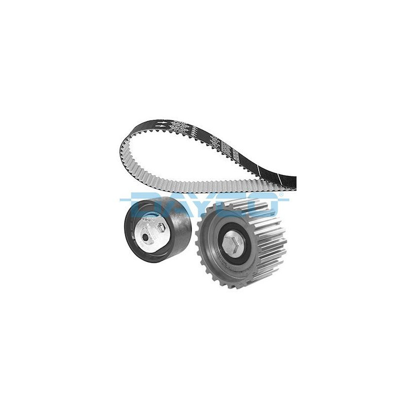 Dayco Kit Di Distribuzione Ktb339