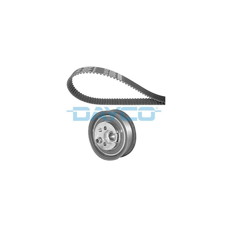 Dayco Kit Di Distribuzione Ktb358