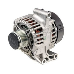 DENSDAN584