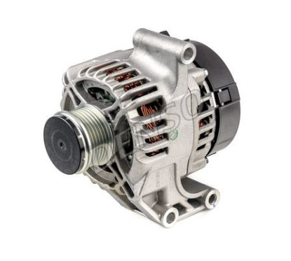 DENSDAN584