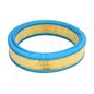 ASHIKA Filtro aria FA-0243JM