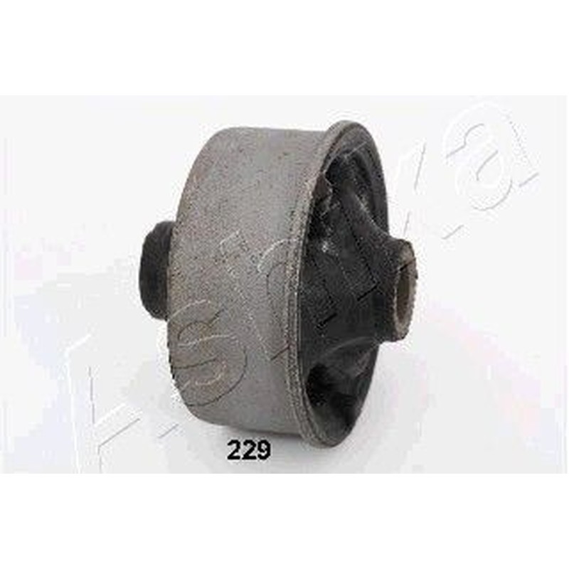 Ashika Ashika Gom-229