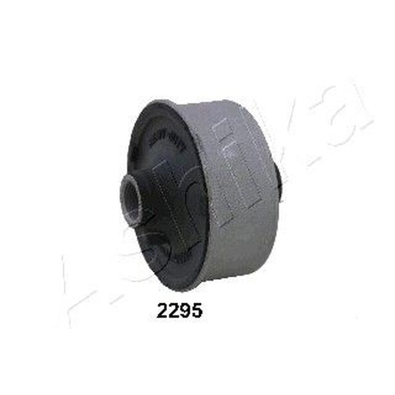 Ashika Ashika Gom-2295