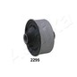 Ashika Ashika Gom-2295
