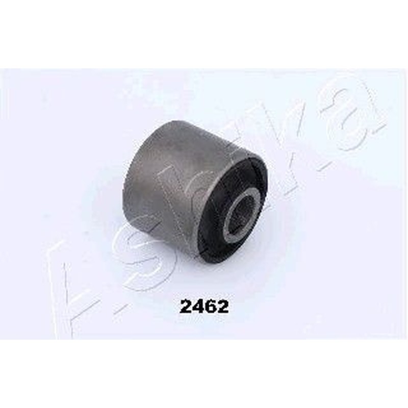 Ashika Ashika Gom-2462