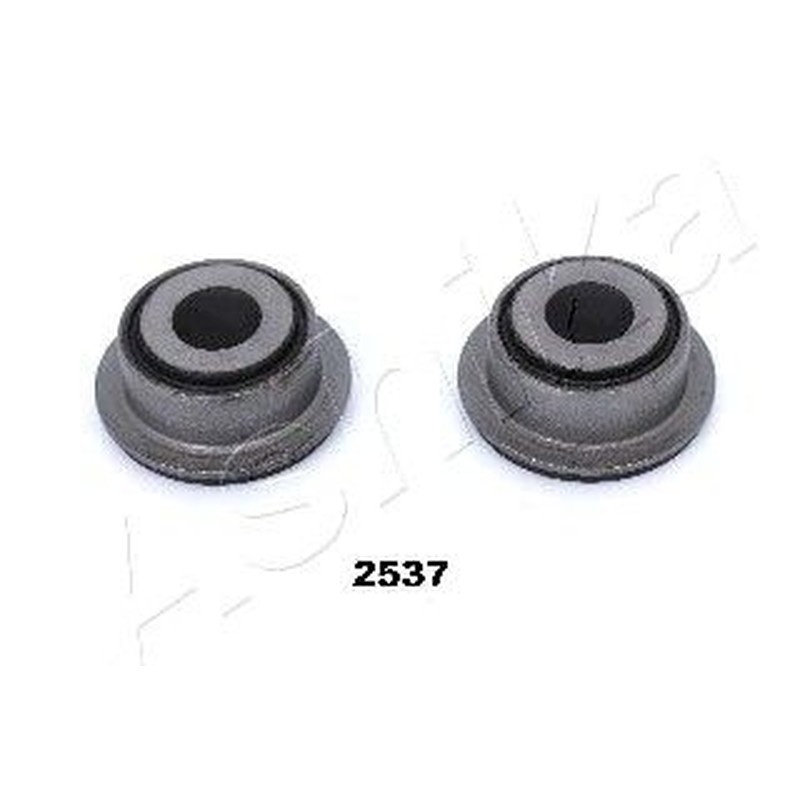 Ashika Supporto, Braccio Oscillante Gom-2537