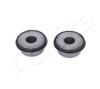 Ashika Supporto, Braccio Oscillante Gom-2537