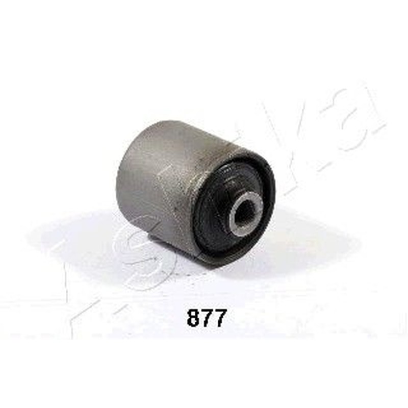 Ashika Ashika Gom-877