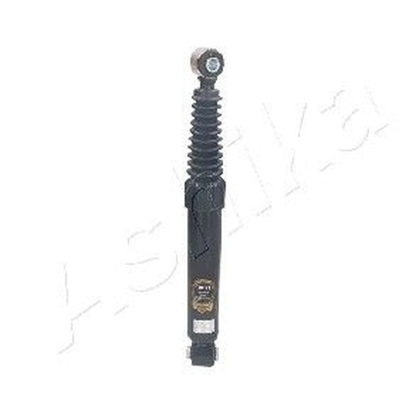 Ashika Ashika Ma-00141