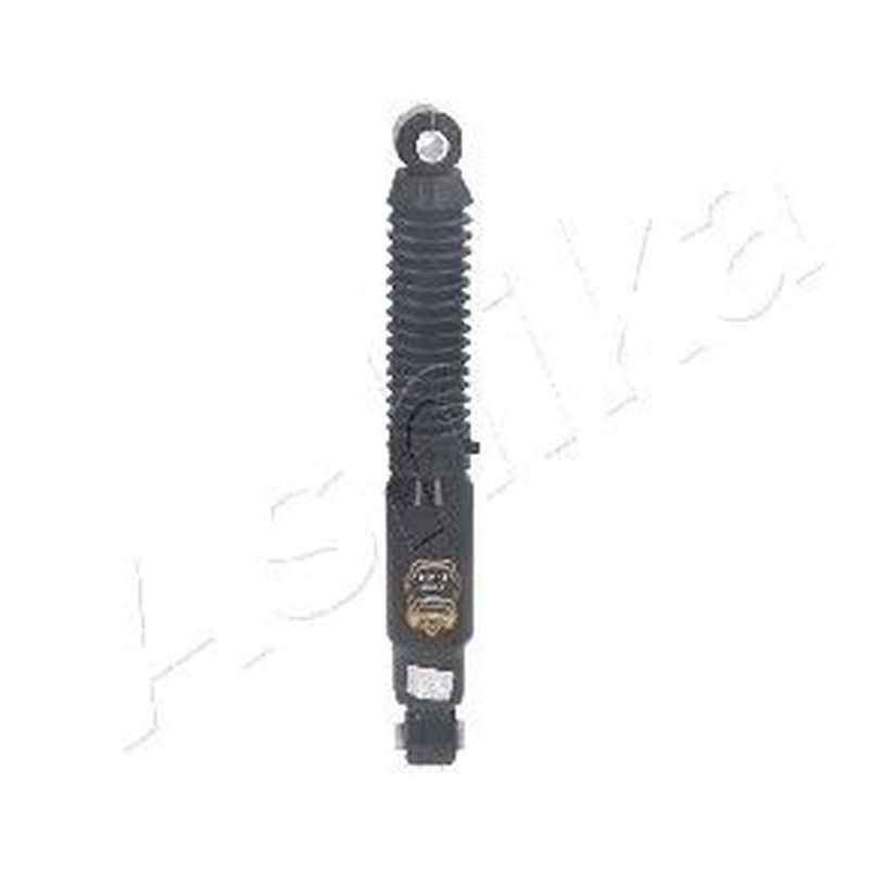 Ashika Ashika Ma-00151